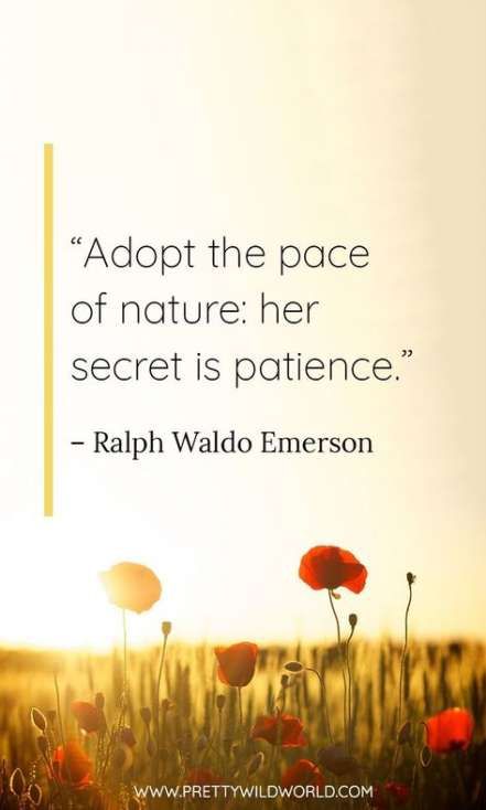30 Ideas Nature Quotes Adventure Inspiration God quotes 30 Ideas Nature Quotes Adventure Inspiration God quotes