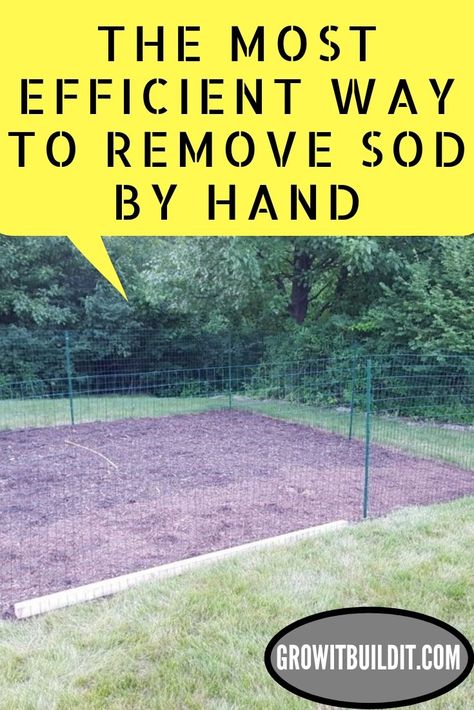 One Of The Hardest Jobs In Garden Is To Remove Grass Build