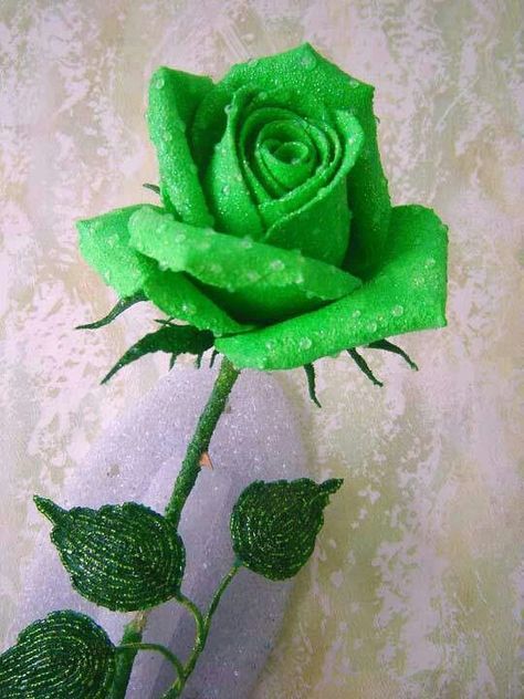 81 Ideas De Rosas Verde En 2021 Rosa Verde Rosas Flores Verdes