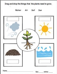 Kindergarten math worksheets plants theme for english b