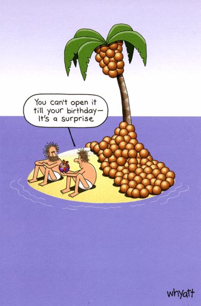 pics Cute Coconut Puns coconut funny food puns