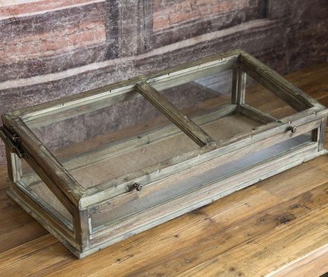 Counter Top Store Display Showcase With Curved Glass 1stdibs Com