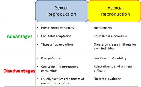 sexual or asexual Sexual or asexual