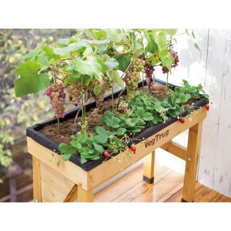 木製菜園プランター ベジトラグ S 通販 ディノス 家庭菜園 プランター プランター ベランダ 野菜 木製菜園プランター ベジトラグ S 通販 ディノス 家庭菜園 プランター プランター ベランダ 野菜