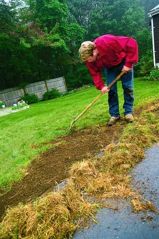 Spring Yard Cleanup Checklist For Gardens Lawns And Patios Spring Lawn Care Lawn Care Tips Yard Cleanup