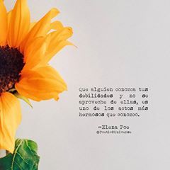 Sus Ojos Cafes Frases De Ojos Frases Girasoles Frases De Amor