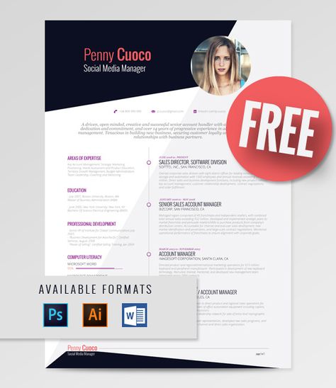 Simple Resume Template Ultimate Collection of Free Resume - media resume template Simple Resume Template Ultimate Collection of Free Resume - media resume template
