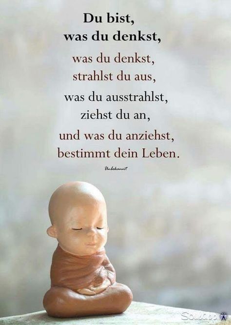 Zitate über neue bekanntschaften