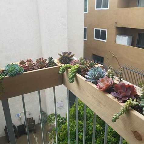 Balcony Garden Apartment Ideas Small In 2020 Planter Bo Planters - Apartment Balcony Garden Box Balcony Garden Apartment Ideas Small In 2020 Planter Bo Planters - Apartment Balcony Garden Box
