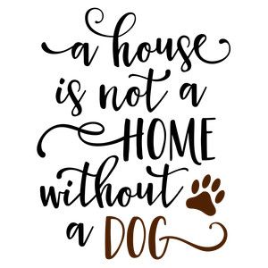 Be The Person Your Dog Thinks You Are Quote Be The Person Your Dog Thinks You Are Quote