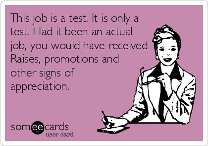 This job is a test It is only a test Had it been an actual job - job test This job is a test It is only a test Had it been an actual job - job test