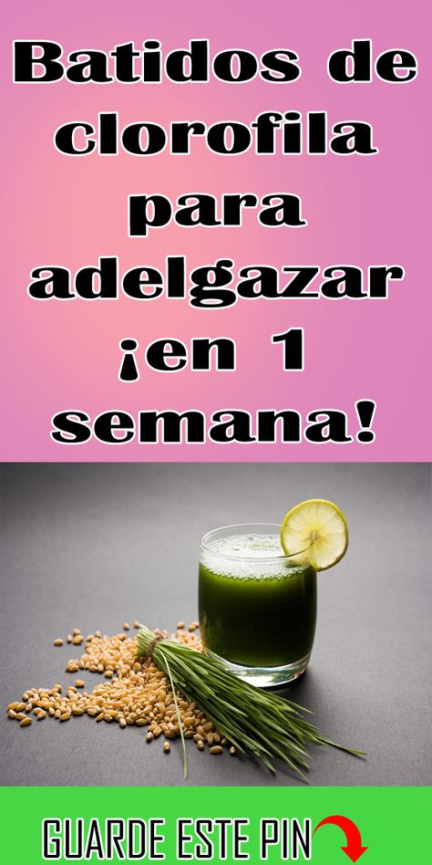 Clorofila para adelgazar como tomarla Clorofila para adelgazar como tomarla