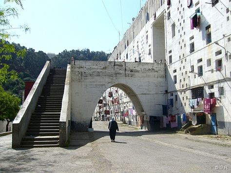Immeuble Prive K Alger Algerie Ateliermessaoudi Architecture