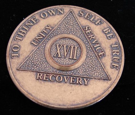 Bulk Lot of 25 Camel Desert One Day At A Time Medallions Bronze Sobriety Chips