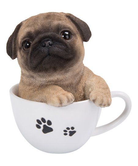 Hi Line Gift Pug Puppy In Teacup Figurine Zulily Pug Puppy