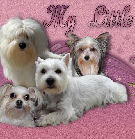 36 x 48 ArtWall 0lyn013a3648p Linzi Lynns Eve Removable Wall Art Mural 36 x 48 ArtWall 0lyn013a3648p Linzi Lynns Eve Removable Wall Art Mural