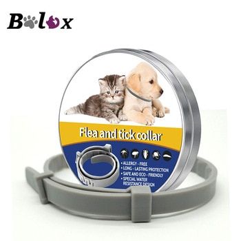 flea and tick collar for cats dogs pets adjustable 8 months for protection tpe pet dog cat anti flea anti mosquito ins flea and tick fleas essential oil plants