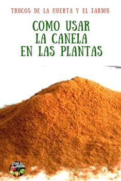Pin Em Jardin