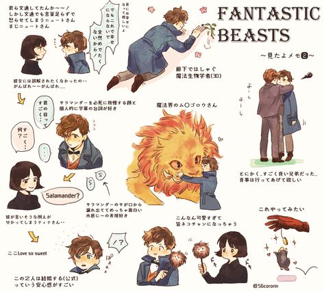 ビースト のアイデア 80 件 ビースト ファンタビ ハリポタ ビースト のアイデア 80 件 ビースト ファンタビ ハリポタ