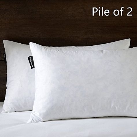 BASIC HOME 40X40 Oblong Feather Down Pillow Insert 40 Cotton Fabric Extraordinary 100 Down Pillow Inserts BASIC HOME 40X40 Oblong Feather Down Pillow Insert 40 Cotton Fabric Extraordinary 100 Down Pillow Inserts