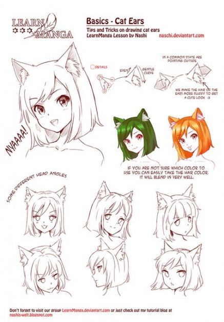 Friend Asked Me For Some Advice On Drawing Animal Noodle Arts Anime Drawings Tutorials Anime Drawings Sketches Animal Drawings