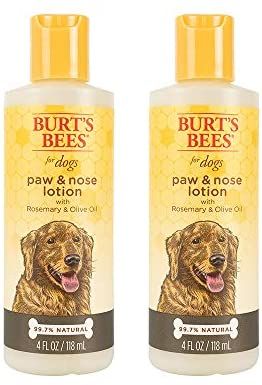 amazon com burt s bees for pets for dogs all natural paw nose lotion with rosemary olive oil for all dogs and puppies dog paw balm dry paws soft paws