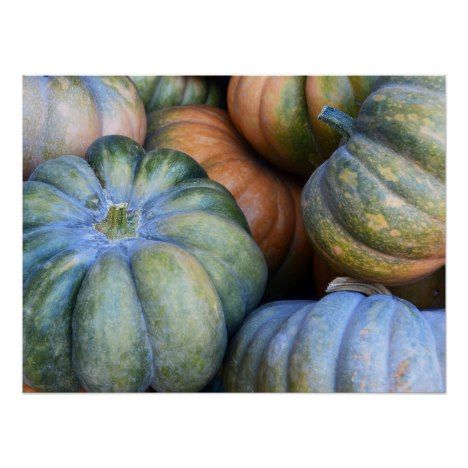 Autumn Pumpkins Poster Zazzle Com Green Area Rugs Pumpkin Gourd Vegetable
