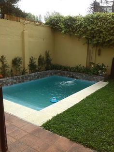 670 Tiny Pools Tiny Spaces Ideas Small Pools Backyard Pool Pool Designs