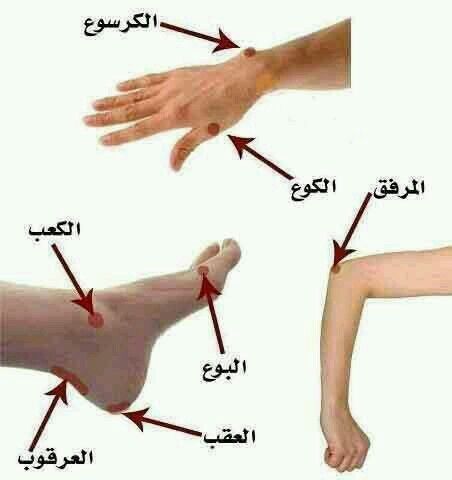 ما تعرف كوعك من بوعك Learning Arabic Learn Arabic Language Arabic Language