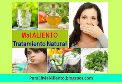 21 Ideas De Como Eliminar El Mal Aliento Evitar La Halitosis Halitosis Eliminar El Mal Aliento Mal Aliento
