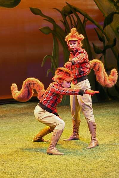 animal a year with frog and toad pinterest toad a year with frog and toad sheet music