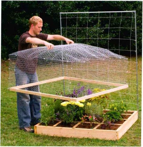 Protect plants from rabbits