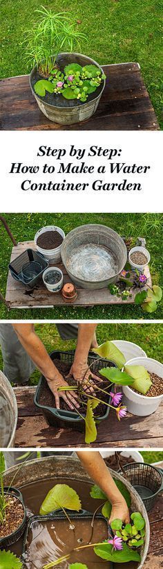 Zinc - La fée des lieux Gardens, Pond and Garden ideas - petit jardin d interieur Zinc - La fée des lieux Gardens, Pond and Garden ideas - petit jardin d interieur