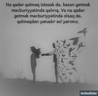 Sevmək Gozəldir Yazili Səkilləri 2018 28 Sevgilim Romantik Yazili Sekiller 2019 Yeni Profil Ucun Sekiller Body Memes Cards