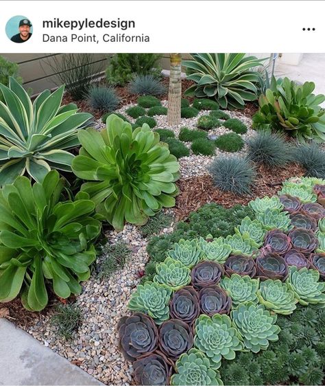 210 Succulent Garden Designs Ideas In 2021 Succulents Design - Succulents Garden Design 210 Succulent Garden Designs Ideas In 2021 Succulents Design - Succulents Garden Design
