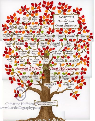 therese tomasoski theresemdak on pinterest
