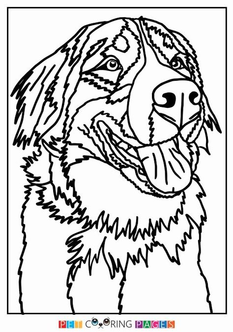 Download Adult Coloring Books Near Me Inspirational Bernese Mountain Dog Coloring Page Crafts in 2020 ...