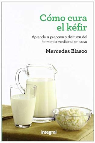 Pin De M Paula Leung En Kéfir Kéfir Yogurt De Pajaritos Recetas Con Yogur