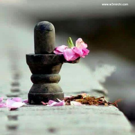 pics of lord shiva for whatsapp dp pics of lord shiva for dp