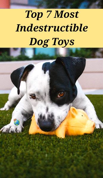 Indestructible Chew Toys For Dogs Dog Toys Durable Dog Toys