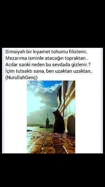 Simsiyah Bir Kiyamet Tohuku Filizlenir Nurullah Genc Edebiyat Kiyamet Gencler Simsiyah Bir Kiyamet Tohuku Filizlenir Nurullah Genc Edebiyat Kiyamet Gencler
