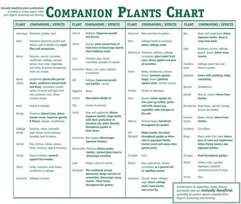 Provides free image upload and hosting integration for forums - sample conduit fill chart Provides free image upload and hosting integration for forums - sample conduit fill chart