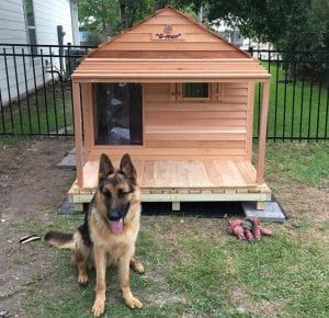 Godzilla Dog House Custom Cedar Dog House Custom Dog Houses