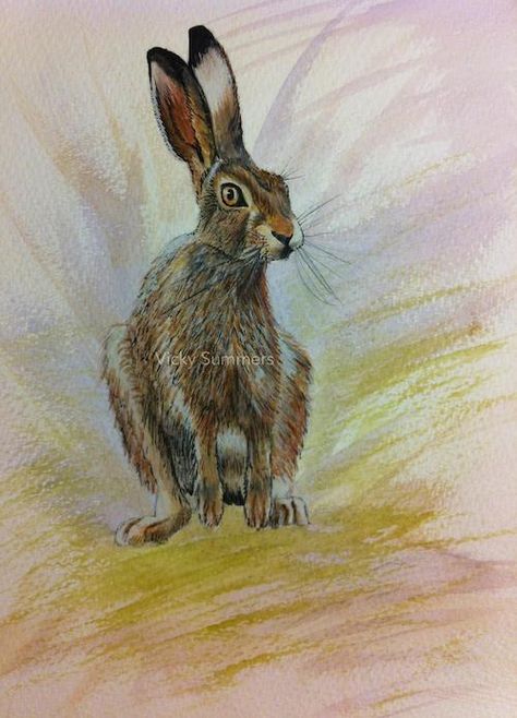 WILD HARE PORTRAIT by JOHN SILVER SIGNED A4 or A3 SIZE PRINT HA003SP