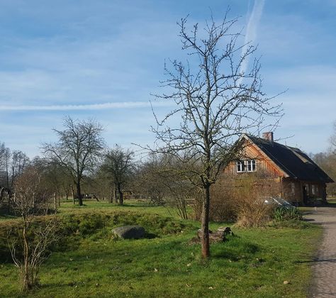 Singles burg spreewald