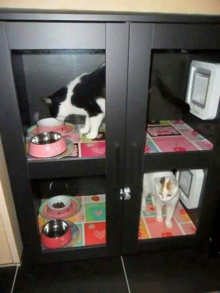Cats Food Station Decor 32 Ideas Cat Food Station Cat Feeding Station Cat Room