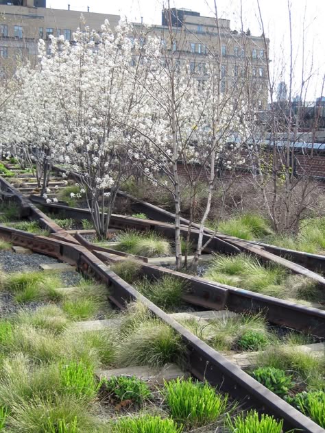 58 Landscape Pathways Ideas Landscape Landscape Architecture Landscape Design