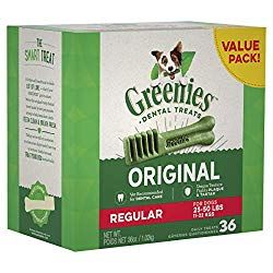 How To Get Rid Of Your Dog S Bad Breath Dog Toys Advisor Dog