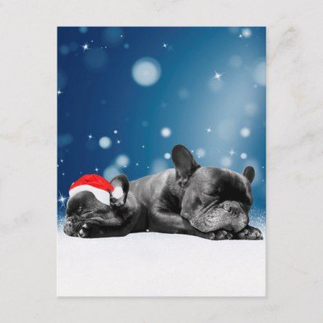 Lucie French Bulldog In A Santa Hat For Christmas