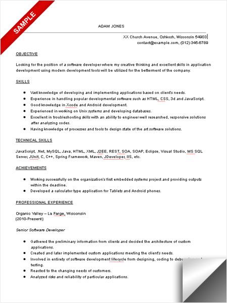 software programmer resume